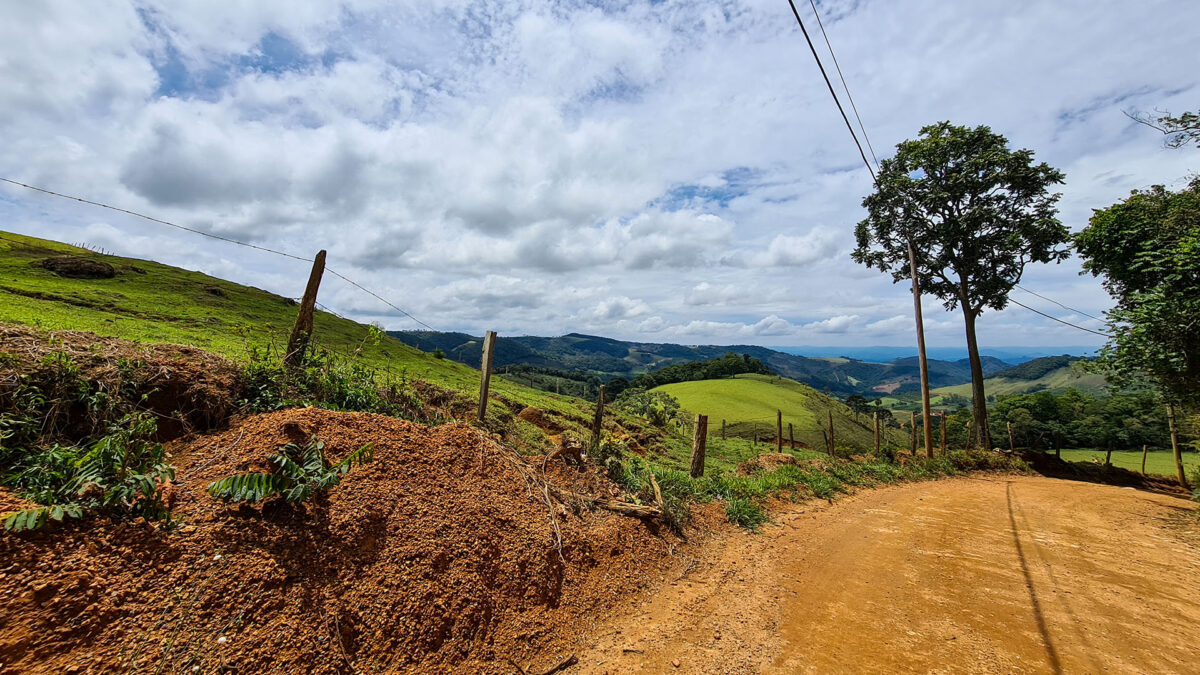 Fazenda Irarema - Azeites