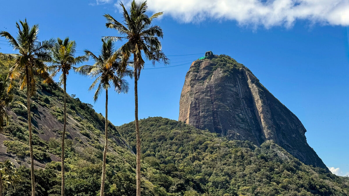 Rock in Rio 2026: como chegar à Cidade do Rock e o que pode entrar na sua mochila 3 Rock in Rio 2026 como chegar